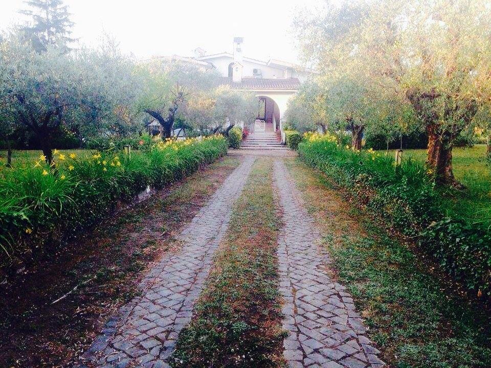 Il Pettirosso B&B Grottaferrata Exterior foto
