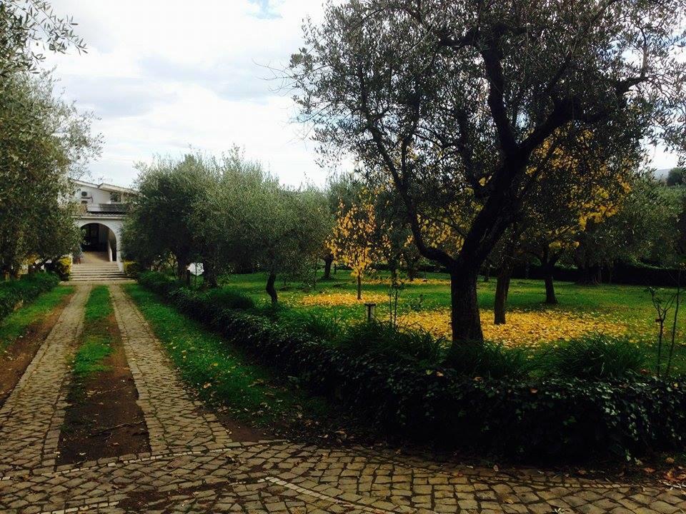 Il Pettirosso B&B Grottaferrata Exterior foto