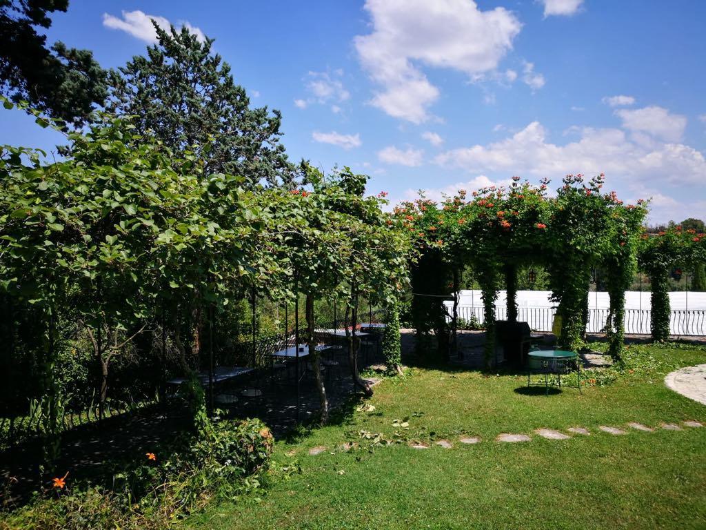 Il Pettirosso B&B Grottaferrata Exterior foto